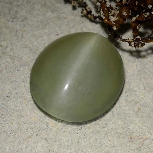 Olho de gato de actinolita Verde médio Natural 5.41ct, oval, Translúcido
