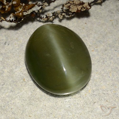 5.83ct Natural Verde escuro Olho de gato de actinolita, oval, Translúcido