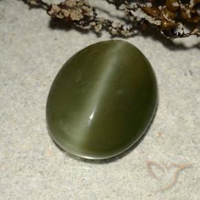 Olho de gato de actinolita Verde escuro Natural 5.83ct, oval, Translúcido