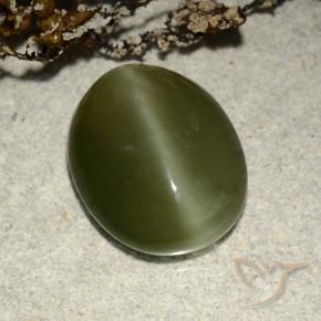 Olho de gato de actinolita Verde escuro Natural 5.83ct, oval, Translúcido