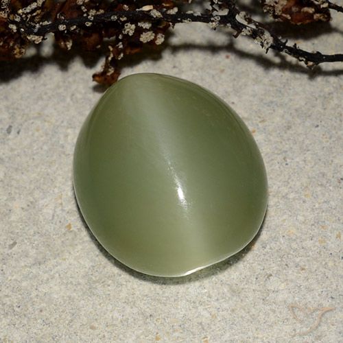 7.32ct Natural verde quente Olho de gato de actinolita, oval, Translúcido