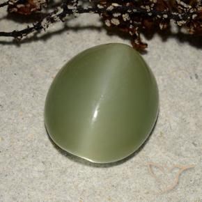 Olho de gato de actinolita verde quente Natural 7.32ct, oval, Translúcido