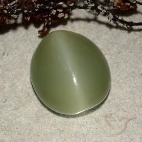 Olho de gato de actinolita verde quente Natural 7.32ct, oval, Translúcido
