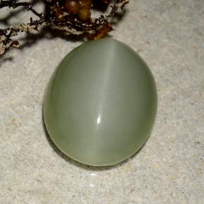 Olho de gato de actinolita Verde Terroso Natural 5.42ct, Corte Oval, Translúcido
