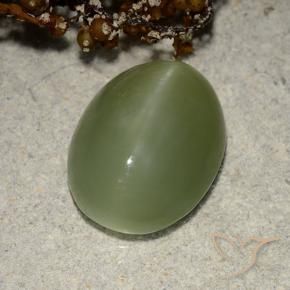 Olho de gato de actinolita Verde Terroso Natural 5.84ct, oval, Translúcido