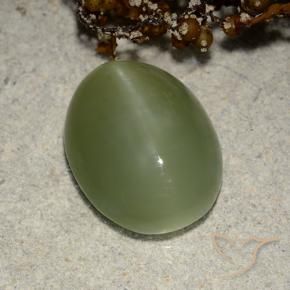 Olho de gato de actinolita Verde Terroso Natural 5.84ct, oval, Translúcido