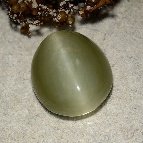 6.75ct Natural verde quente Olho de gato de actinolita, oval, Translúcido