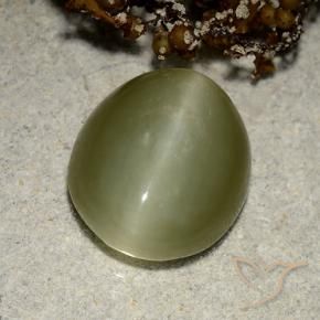 Olho de gato de actinolita verde quente Natural 6.75ct, oval, Translúcido