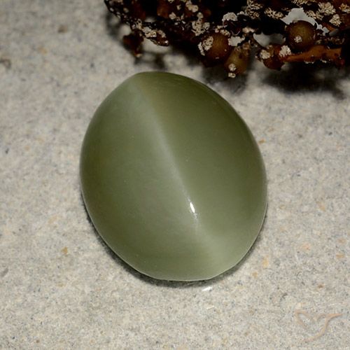 Actinolite cat's eye verde natural 5,41ct, corte oval, translúcido
