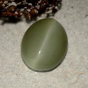 Actinolite cat's eye verde natural 5,41ct, corte oval, translúcido