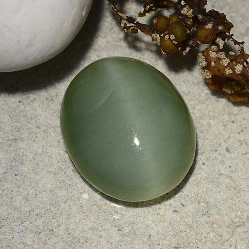 5.48ct Natural Verde acinzentado Olho de gato de actinolita, oval, Translúcido