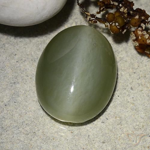 8.99ct Natural Verde Musgo Olho de gato de actinolita, oval, Translúcido