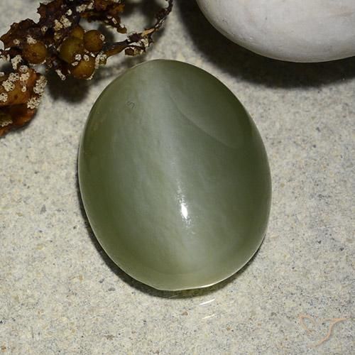 Olho de gato de actinolita Verde Musgo Natural 8.99ct, oval, Translúcido