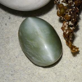 Actinolite cat's eye verde natural 4,96ct, corte oval, translúcido