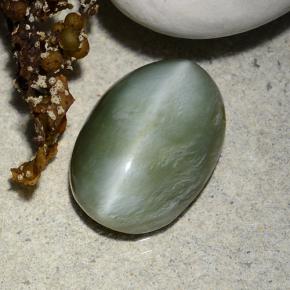 Actinolite cat's eye verde natural 4,96ct, corte oval, translúcido