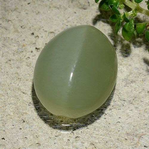 6.57ct Natural Verde acinzentado Olho de gato de actinolita, oval, Translúcido