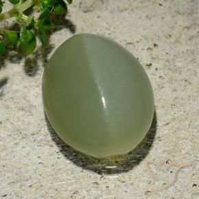 Olho de gato de actinolita Verde acinzentado Natural 6.57ct, oval, Translúcido