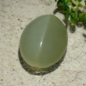 Olho de gato de actinolita Verde acinzentado Natural 6.57ct, oval, Translúcido