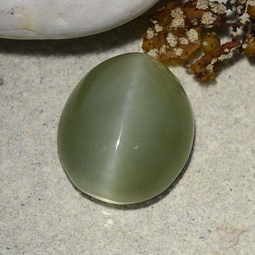 5.93ct Natural Verde Terroso Olho de gato de actinolita, oval, Translúcido