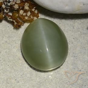 Olho de gato de actinolita Verde Terroso Natural 5.93ct, oval, Translúcido