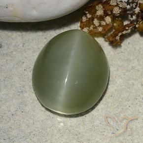 Olho de gato de actinolita Verde Terroso Natural 5.93ct, oval, Translúcido