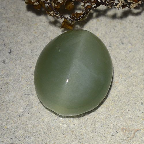 7.31ct Natural Verde médio Olho de gato de actinolita, oval, Translúcido