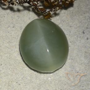Olho de gato de actinolita Verde médio Natural 7.31ct, oval, Translúcido