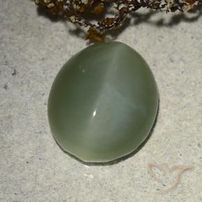 Olho de gato de actinolita Verde médio Natural 7.31ct, oval, Translúcido