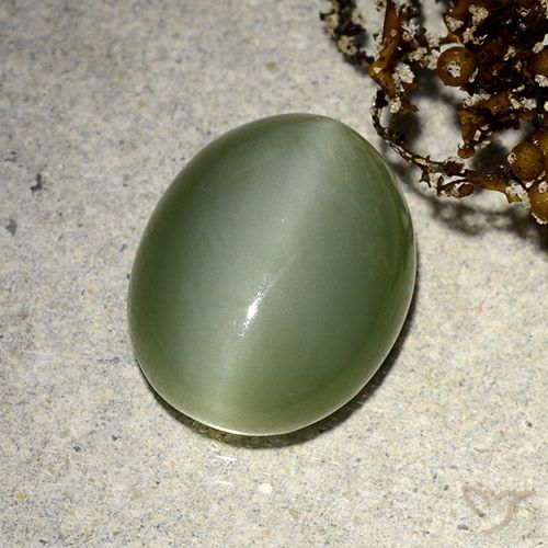 5.91ct Natural Verde Terroso Olho de gato de actinolita, oval, Translúcido