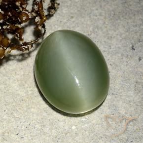 Olho de gato de actinolita Verde Terroso Natural 5.91ct, oval, Translúcido