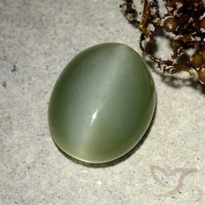 Olho de gato de actinolita Verde Terroso Natural 5.91ct, oval, Translúcido