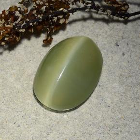 Actinolite cat's eye verde natural 4,89ct, corte oval, translúcido