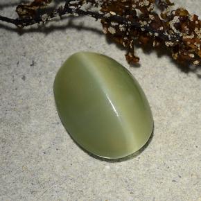 Actinolite cat's eye verde natural 4,89ct, corte oval, translúcido