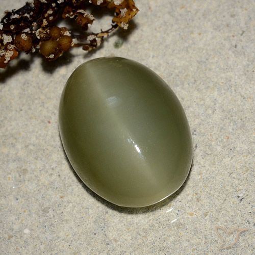 7.05ct Natural verde escuro Olho de gato de actinolita, oval, Translúcido