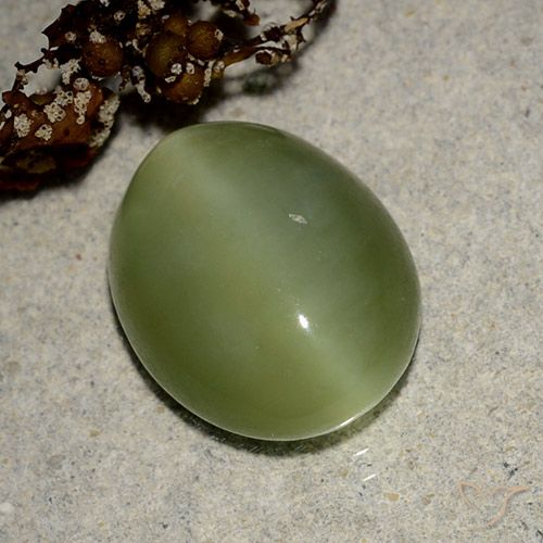 Actinolite cat's eye verde natural 6,09ct, corte oval, translúcido