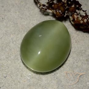 Actinolite cat's eye verde natural 6,09ct, corte oval, translúcido