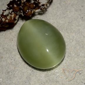 Actinolite cat's eye verde natural 6,09ct, corte oval, translúcido