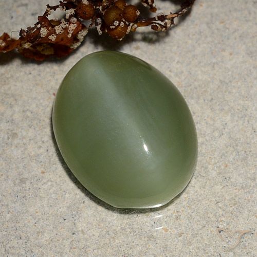 6.88ct Natural Verde médio Olho de gato de actinolita, oval, Translúcido
