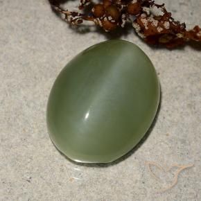 Olho de gato de actinolita Verde médio Natural 6.88ct, oval, Translúcido