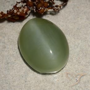 Olho de gato de actinolita Verde médio Natural 6.88ct, oval, Translúcido