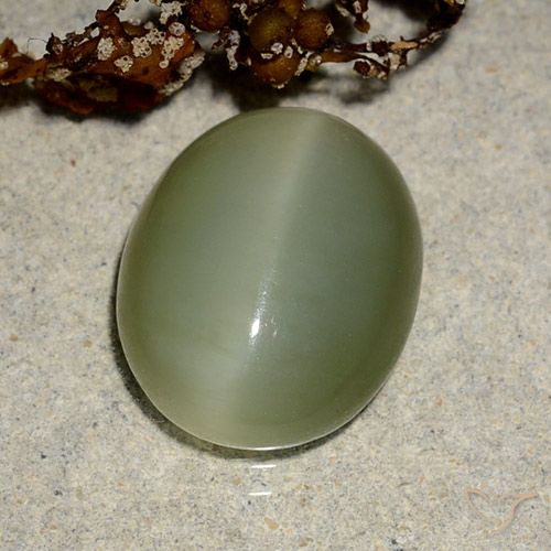 5.10ct Natural Verde amarelado Olho de gato de actinolita, oval, Translúcido