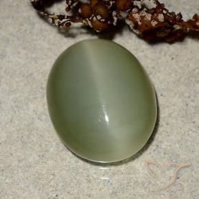 Olho de gato de actinolita Verde amarelado Natural 5.10ct, oval, Translúcido