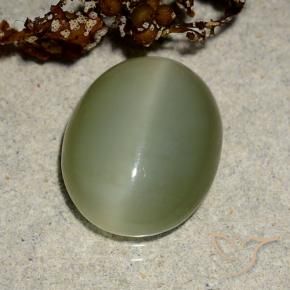Olho de gato de actinolita Verde amarelado Natural 5.10ct, oval, Translúcido