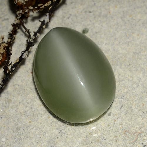 6.84ct Natural verde quente Olho de gato de actinolita, oval, Translúcido