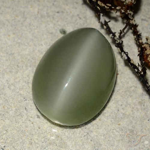 Olho de gato de actinolita verde quente Natural 6.84ct, oval, Translúcido