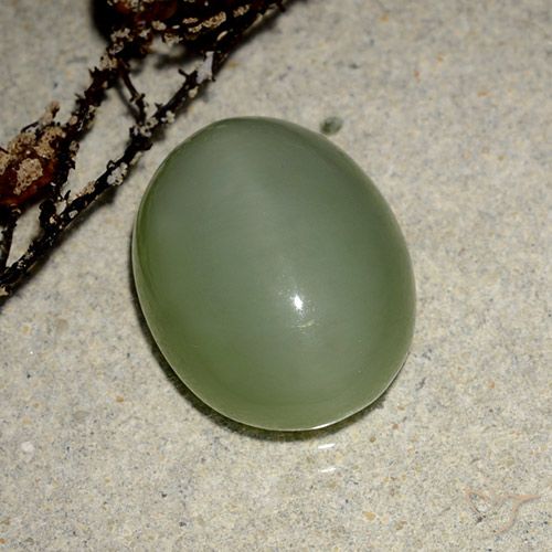 6.99ct Natural verde quente Olho de gato de actinolita, oval, Translúcido