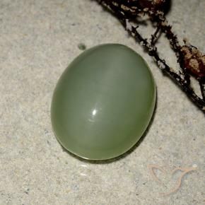 Olho de gato de actinolita verde quente Natural 6.99ct, oval, Translúcido