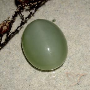 Olho de gato de actinolita verde quente Natural 6.99ct, oval, Translúcido
