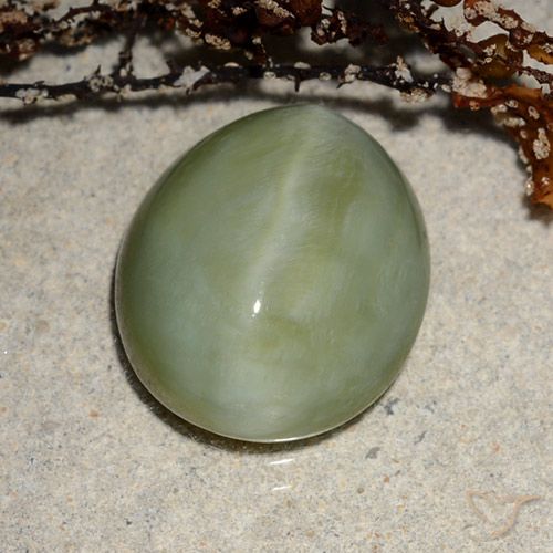 6.52ct Natural verde quente Olho de gato de actinolita, oval, Translúcido