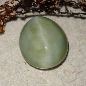 Olho de gato de actinolita verde quente Natural 6.52ct, oval, Translúcido